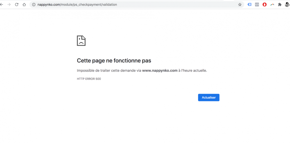 Capture d’écran 2021-03-23 à 12.47.08.png