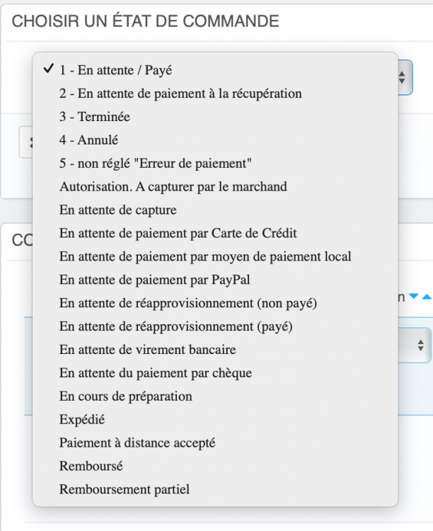 Capture d’écran 2021-04-19 à 12.20.14.png