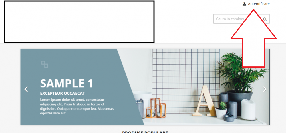 Fără titdadalu.png