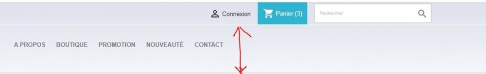 Capture entete taille à adapter.JPG