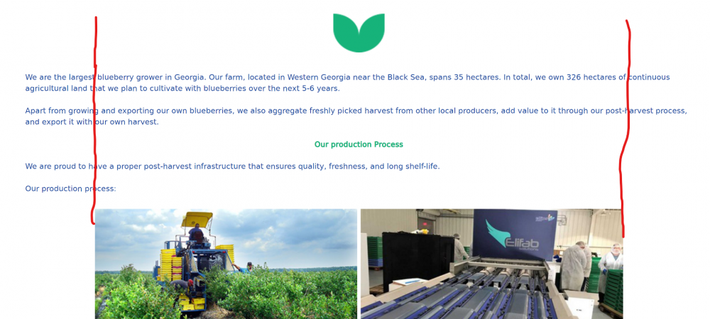 Screenshot 2021-06-10 141024.png