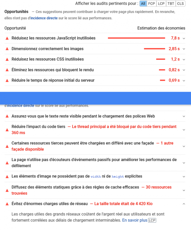 Screenshot 2021-06-21 at 20-18-30 PageSpeed Insights.png