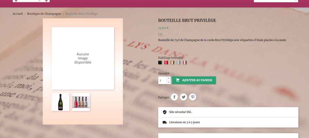 capture bug photo boutique.png