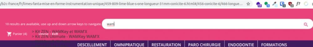 Erreur d'affichage barre de recherche.png