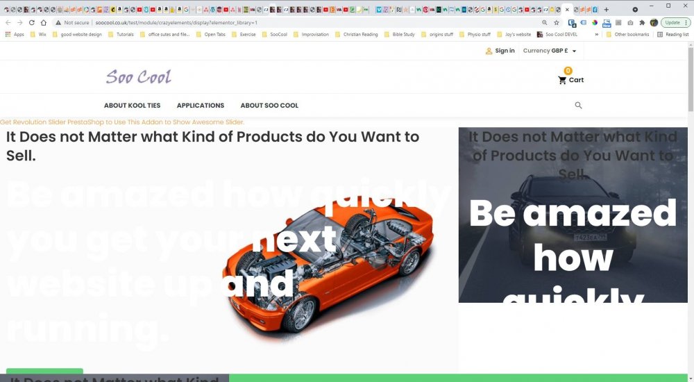 primising template capture.jpg