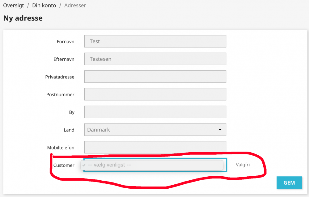 Skærmbillede 2021-10-16 kl. 17.40.33.png