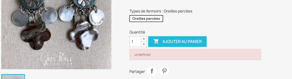 Capture d’écran 2021-11-25 à 09.43.59.png