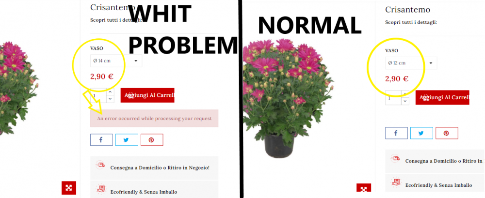 photo with problem.png