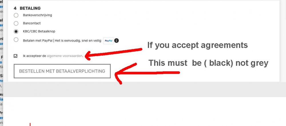 Pay checkout (agreemend.jpg