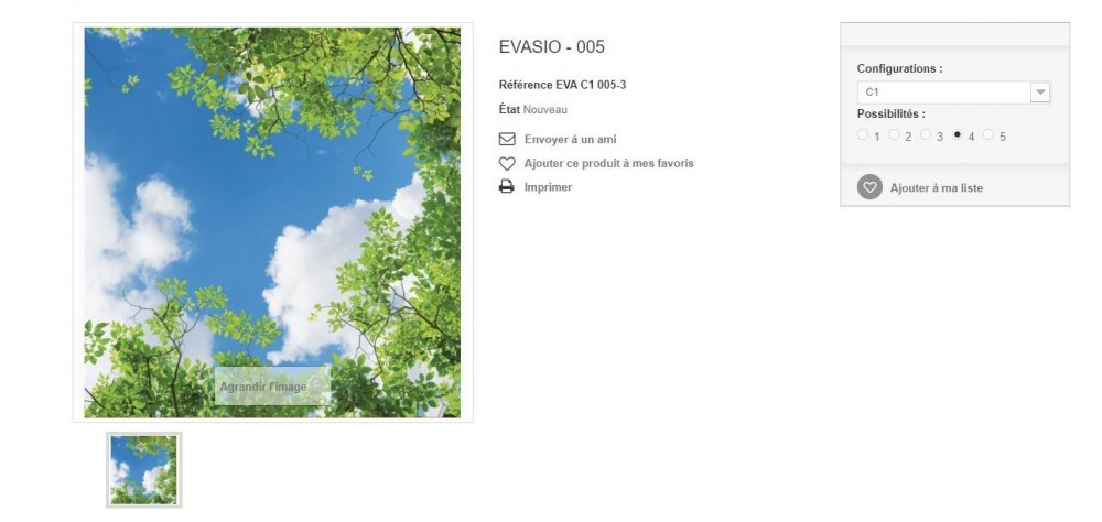 Capture d’écran 2021-12-07 104017.jpg