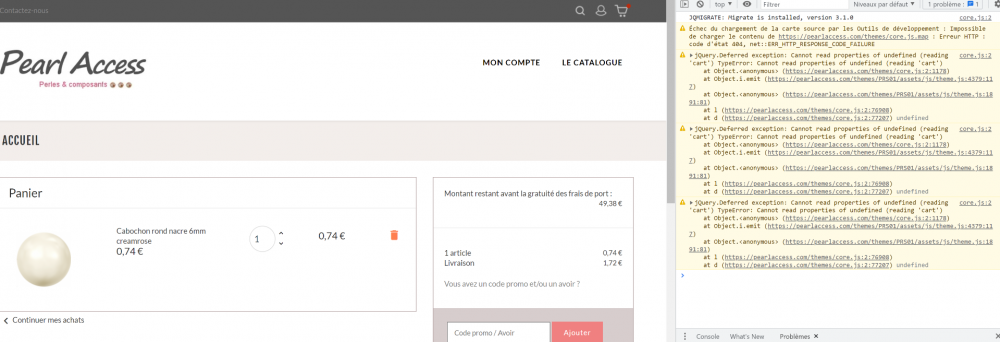 Capture d’écran panier.png