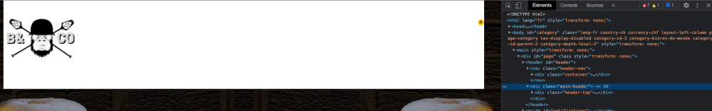 Capture d’écran 2022-01-06 à 03.01.21.png