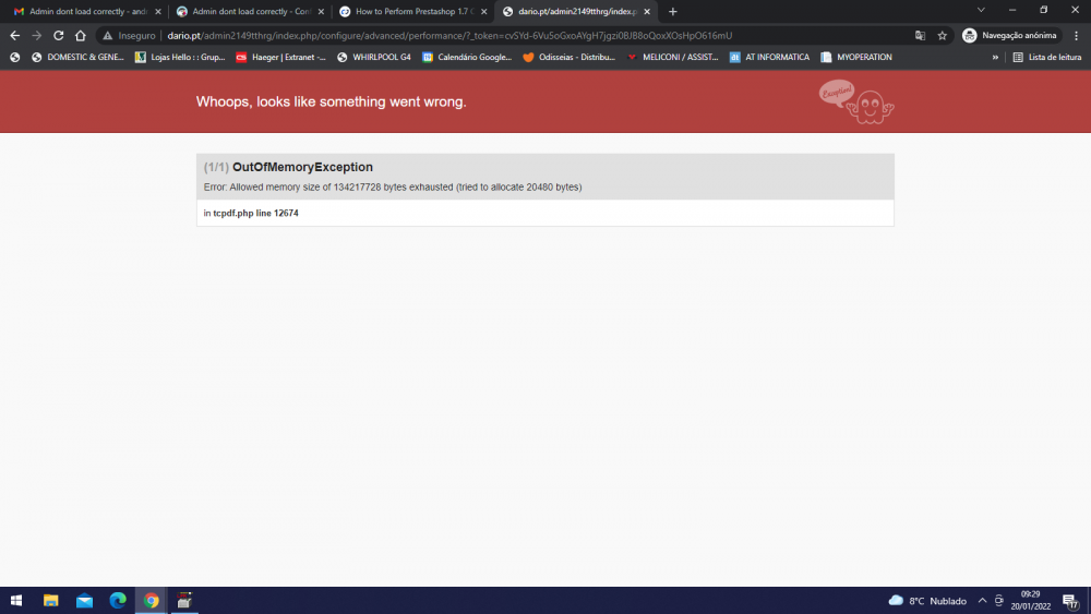 Captura de Ecrã (44).png