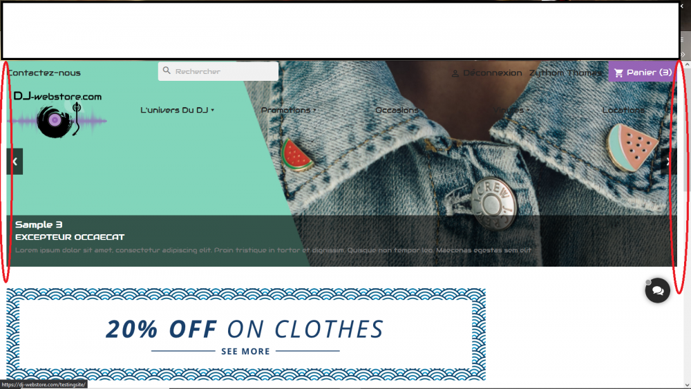 Capture d’écran (29).png