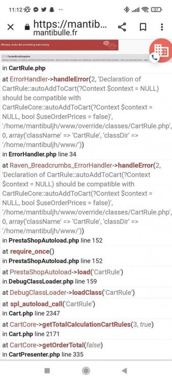 Erreur fatale bug mantibulle.fr-2.jpeg