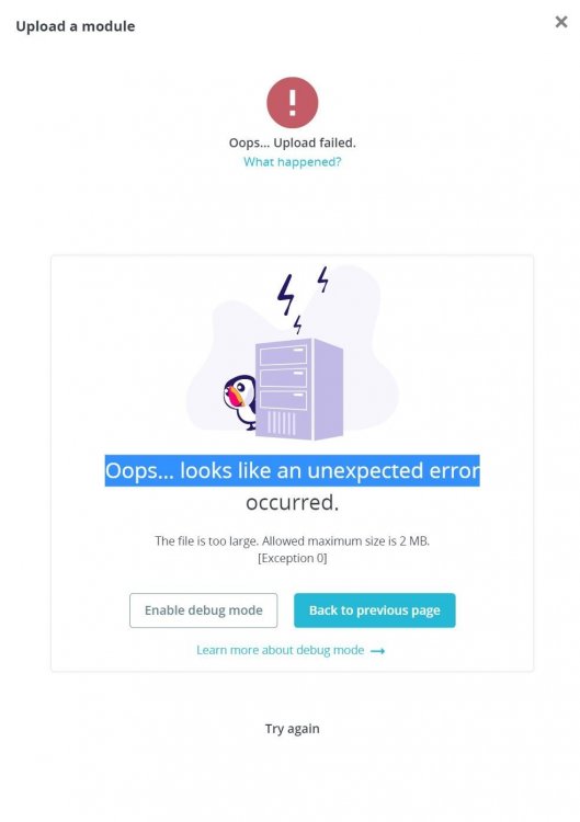 Error mollie upload.JPG