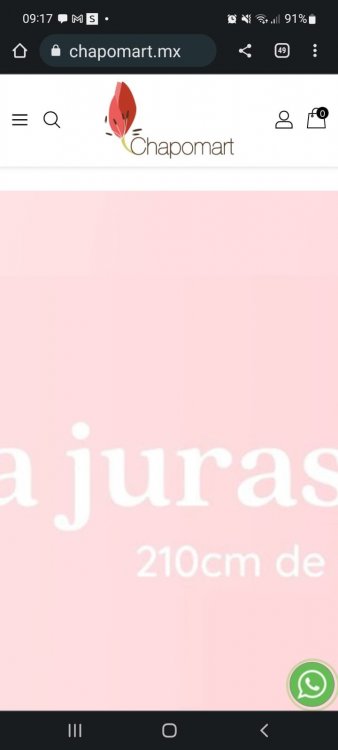 WhatsApp Image 2022-11-17 at 09.17.43.jpeg