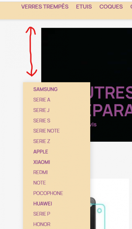 Capture d’écran 2022-11-18 164224.png