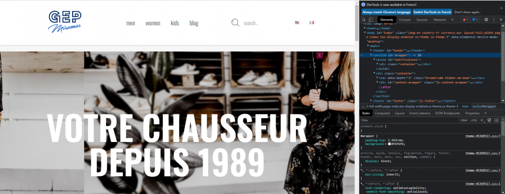 code inspect gepmiramas.png