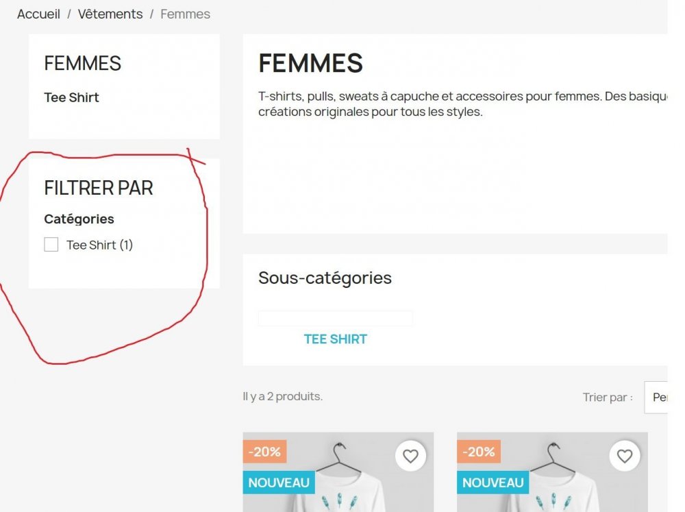 Filtre Caractéristique manquant.jpg