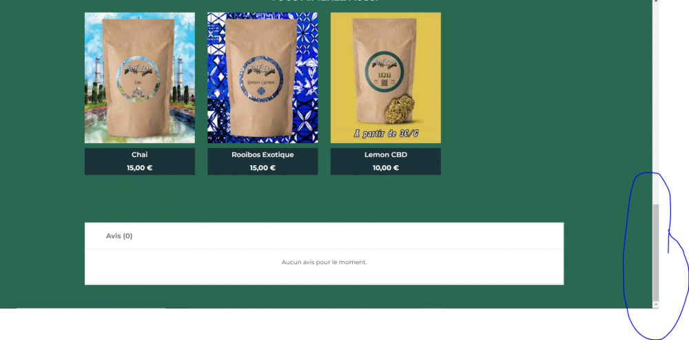 Produit sans footer.PNG