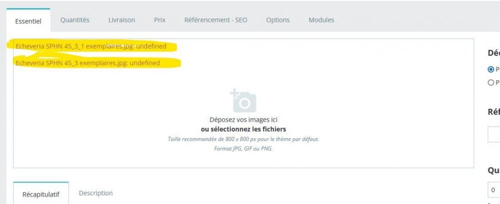 Capture d’écran 2023-01-04 192521.jpg