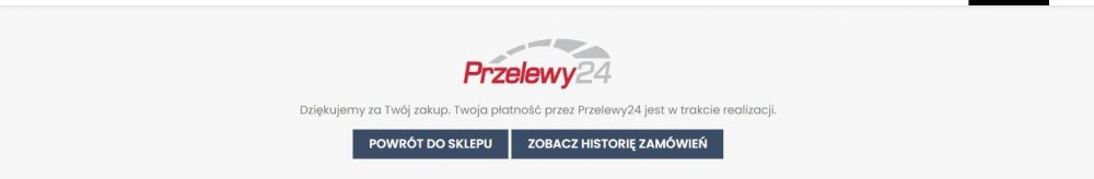 przelewy23.jpg