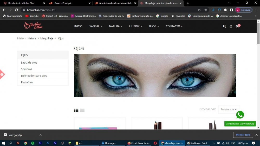 Vista en computador.jpg