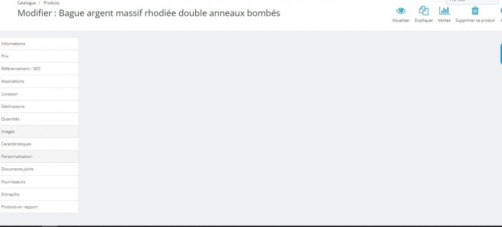 bug-onglet image.jpg