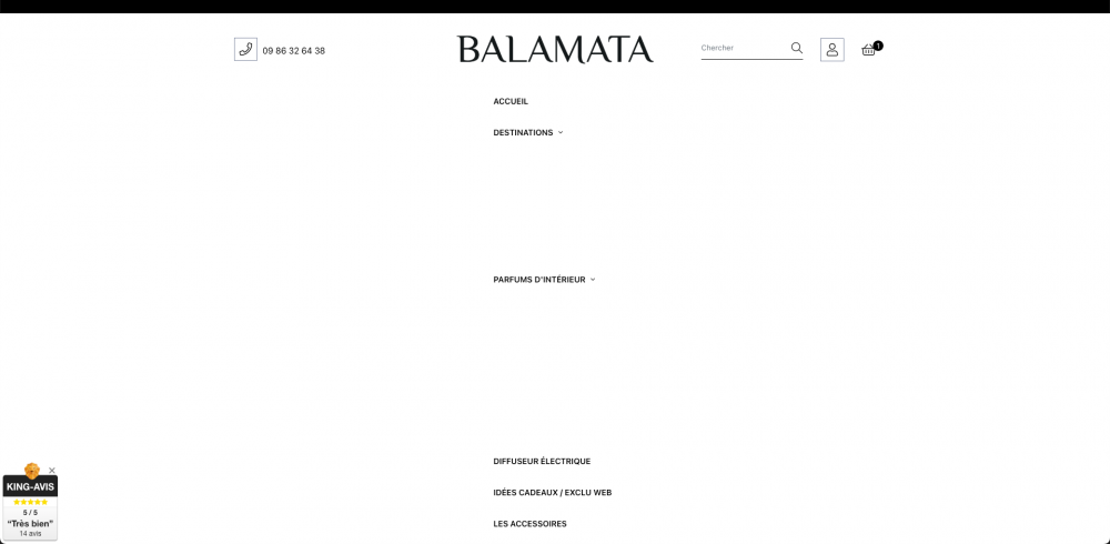 Capture d’écran 2023-02-15 à 15.39.54.png