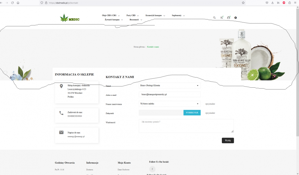 grafika z głónej strony.png