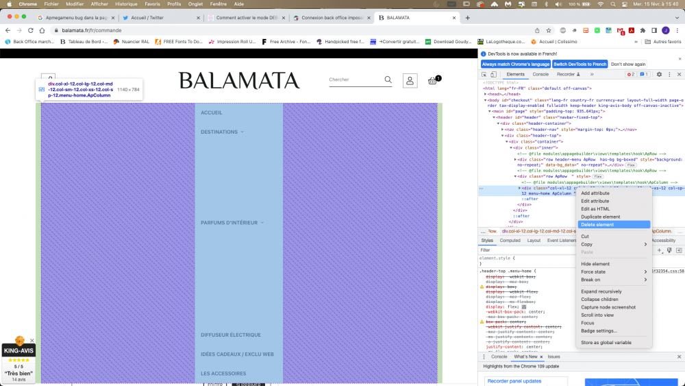 Capture d’écran 2023-02-15 à 15.40.16 (2).png