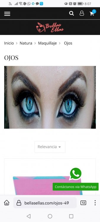 Vista en celular.jpg