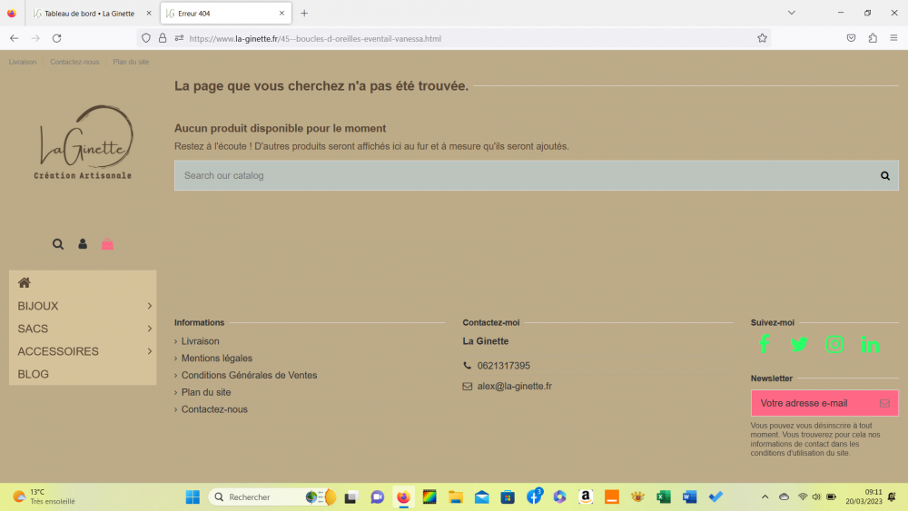 Capture d’écran (11).png
