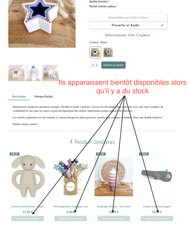 Capture d’écran 2023-03-02 à 5.32.53 PM.png