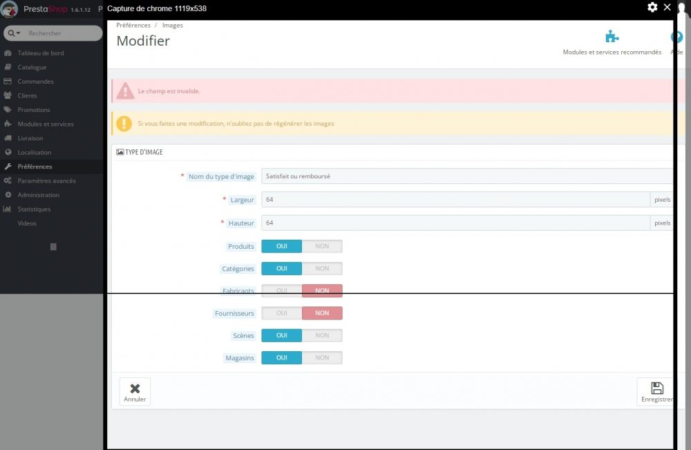 champ invalide préférence image.png