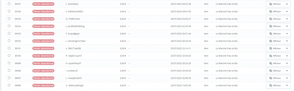 Capture d'écran 2023-07-27 171124.png