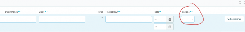 Capture d’écran 2023-07-13 à 13.20.48.png