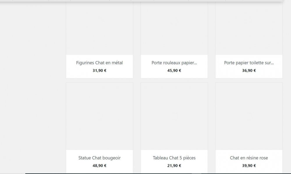 IMAGES DISPARUES.JPG