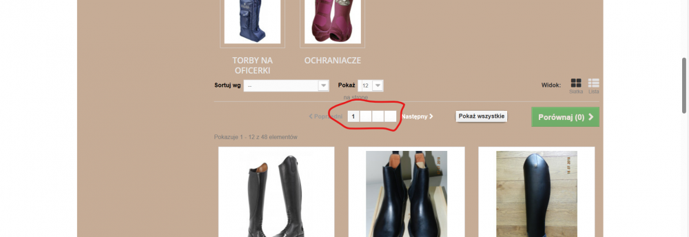 Zrzut ekranu 2023-09-21 101612.png