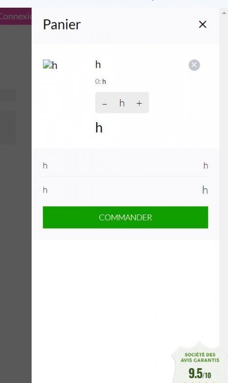 Lettre h dans le panier.jpg