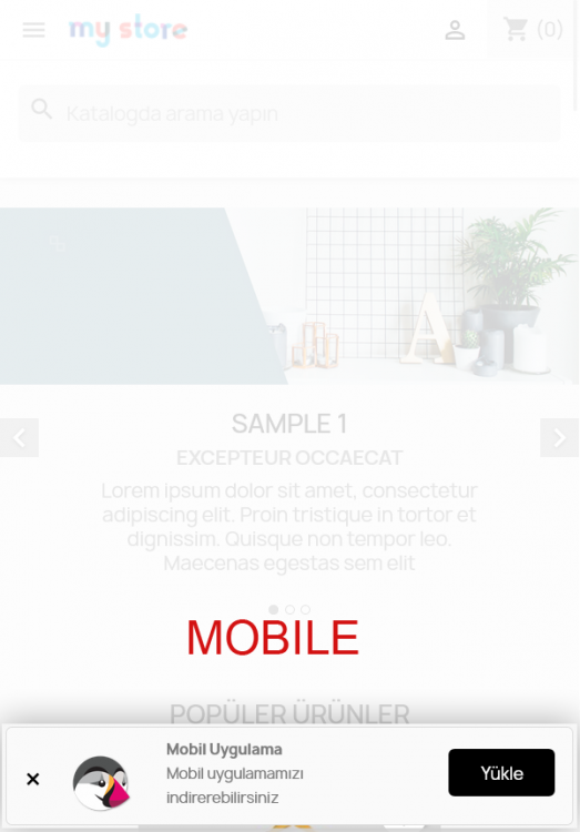 Ekran Görüntüsü 2024-03-14 14.07.27.png