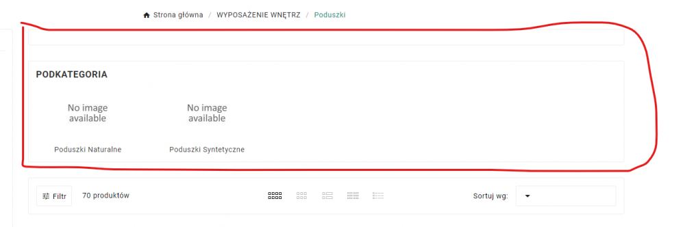 Zrzut ekranu 2024-03-21 151344.png