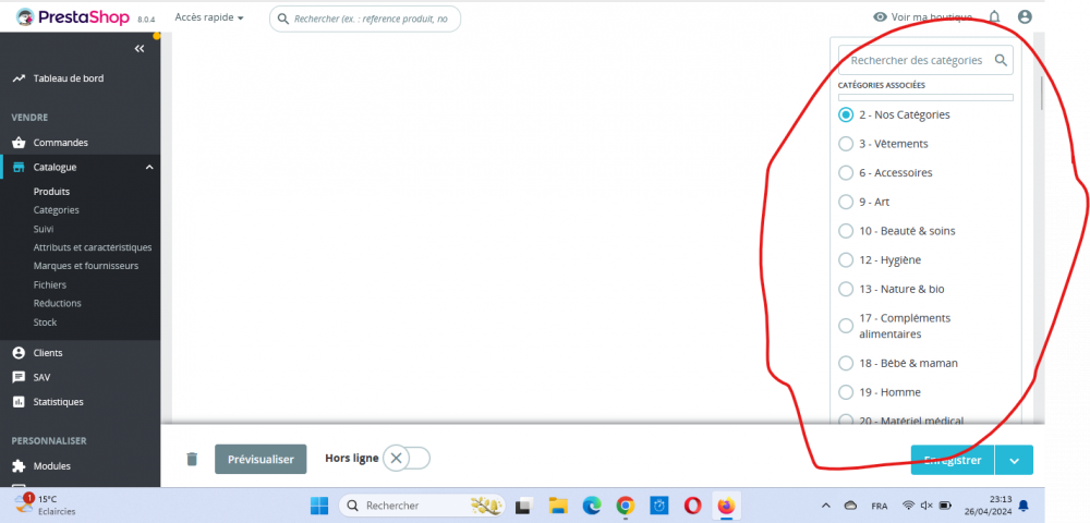 Capture d'écran 2024-04-26 231333.png