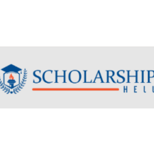Scholarship in china