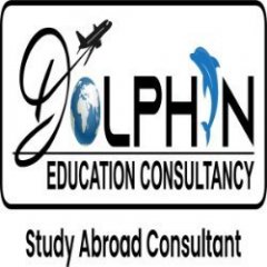 Dolphin Education Co
