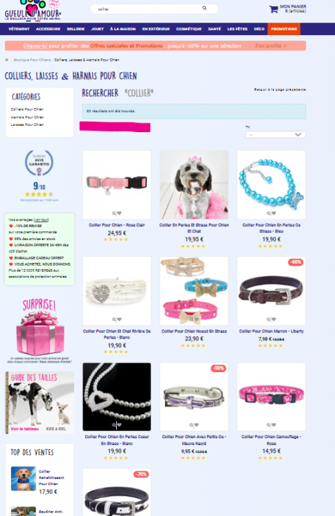 Capture d’écran 2024-06-24 101743.png