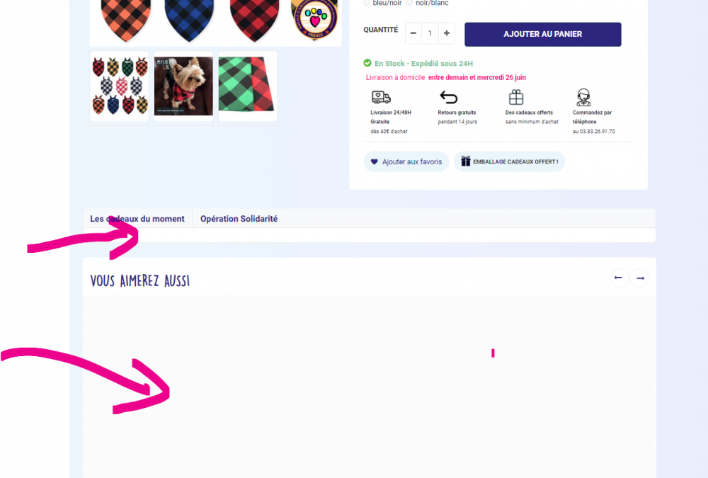 Capture d’écran 2024-06-24 123928.png