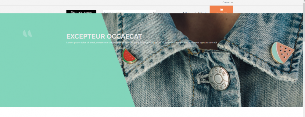 Messed up slider.png