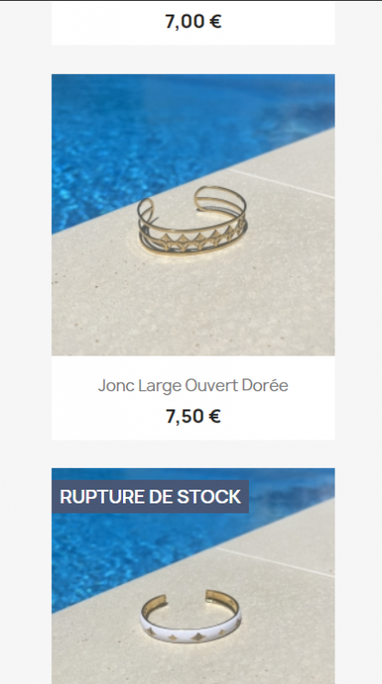 Capture d'écran 2024-10-21 153133.png